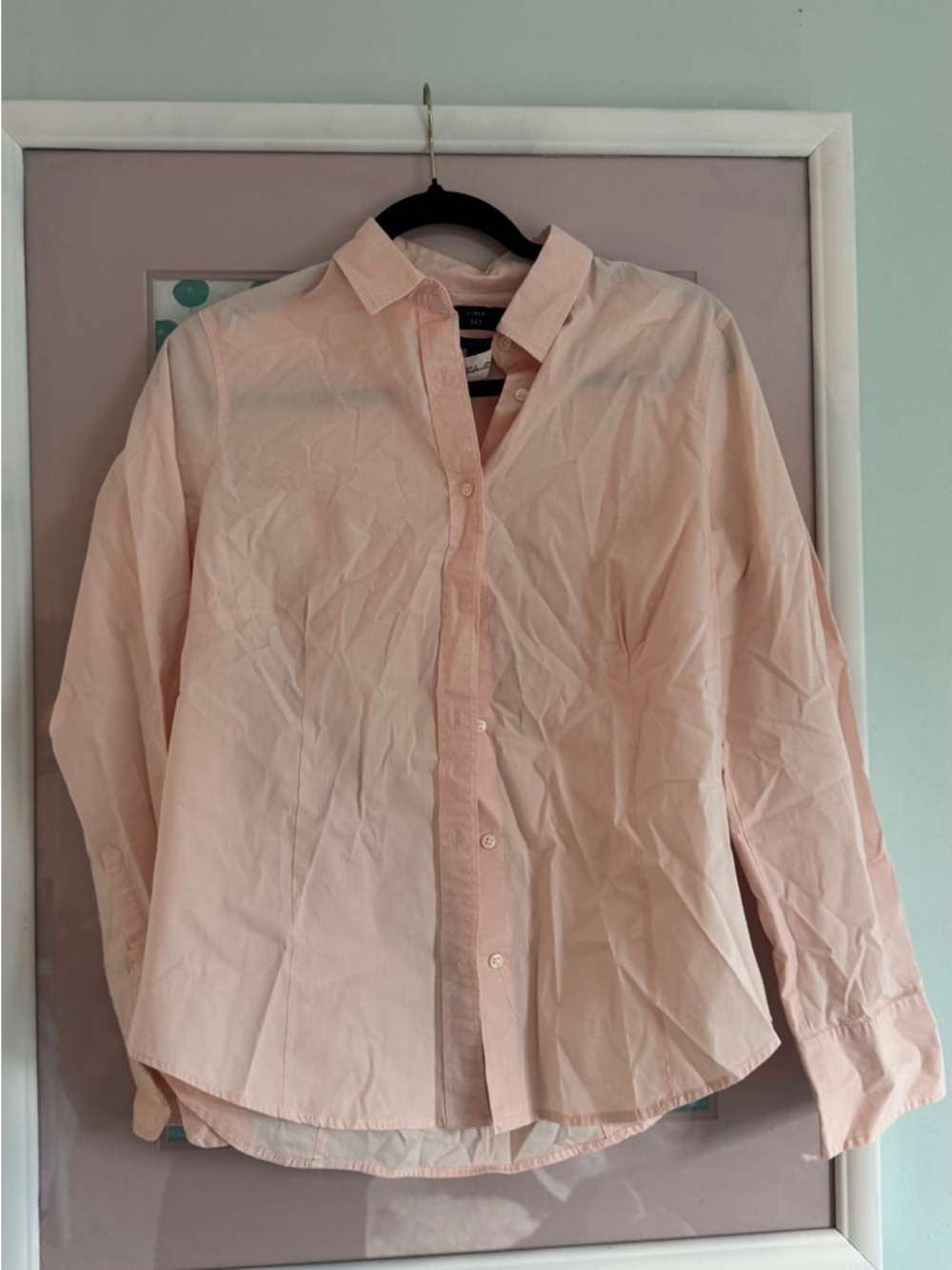 J. Crew Light Pink Cotton Button-Down Shirt